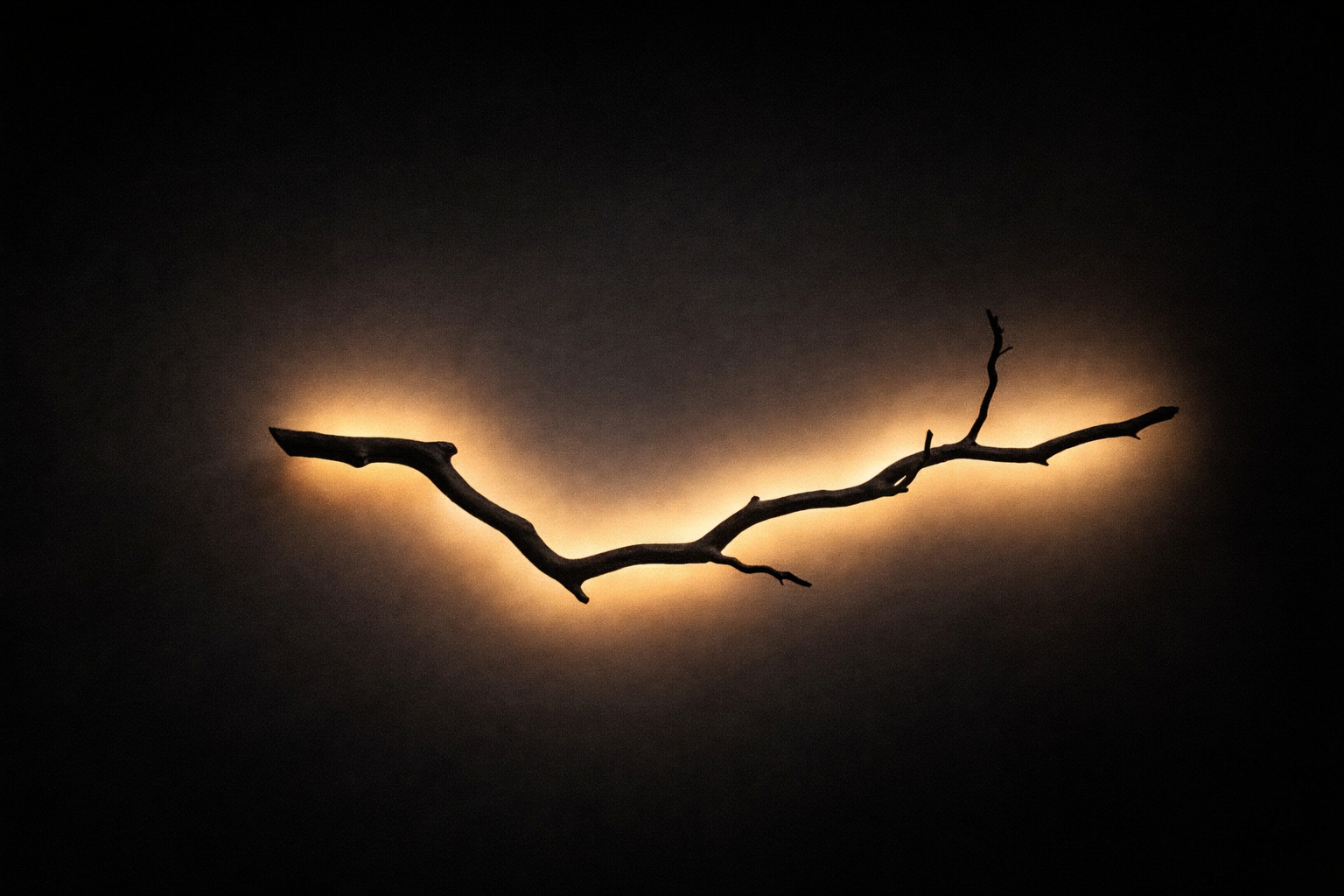 Luxury Wood Lamp